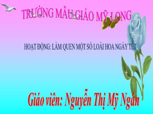 HOA ĐEP NGAY TÊT GIAO AN 5T