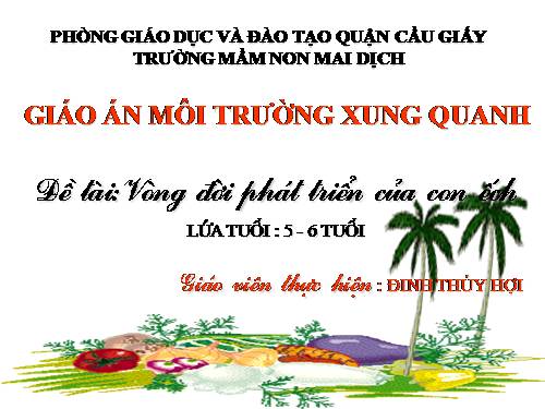 MTXQ: Vòng đời phát triển của con ếch.