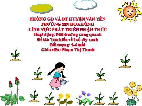 tìm hiểu cây xanh