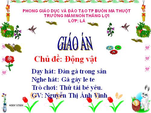 ÂM NHẠC: ĐÀN GÀ TRONG SÂN