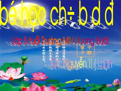 BE HOC CHU CAI B D D