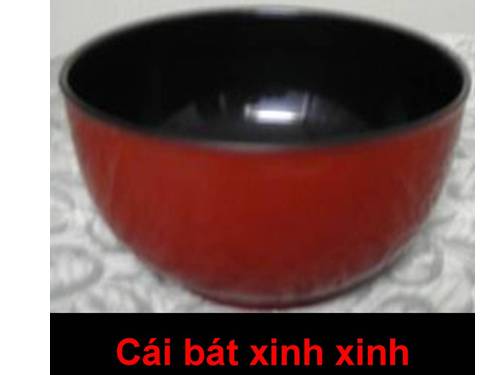 CAI BAT XINH XINH