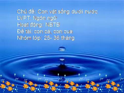 CON VẬT DƯỚI NƯỚC