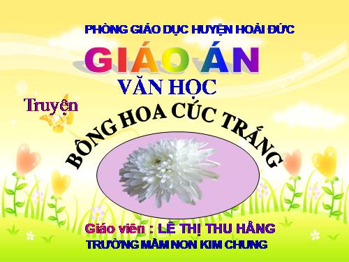 truyện : Bong hoa cuc trang