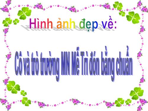 hinh anh cac cô trương Mn Mễ Trì