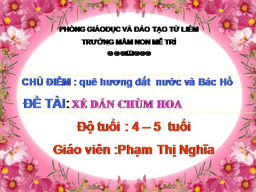 xe dan chum hoa (4-5)