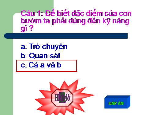 cau hoi co thoi gian