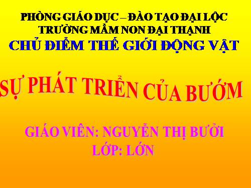 vòng đời phát triển của bướm