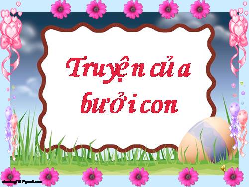 Truyện của bưởi con