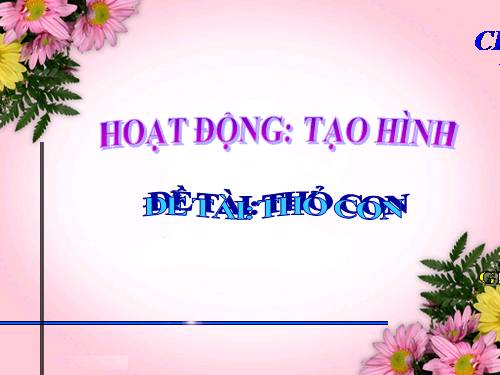 Thỏ xinh