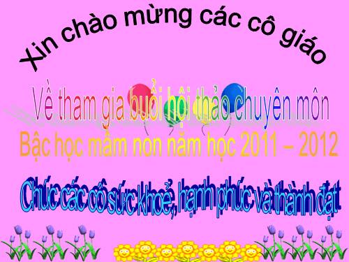 giáo án hội thảo 11-12Tân