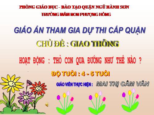 giao thong