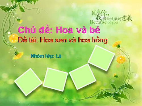 Hoa hồng và cây sen