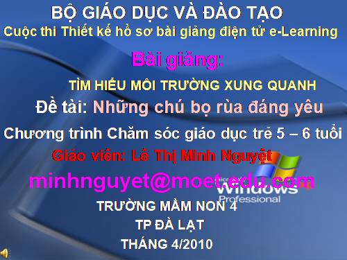 Những chú bọ rùa đáng yêu