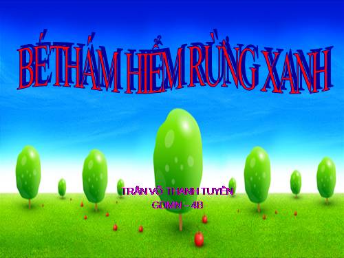 Thám hiểm rừng xanh