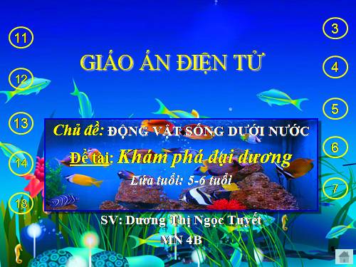 Khám phá đại dương