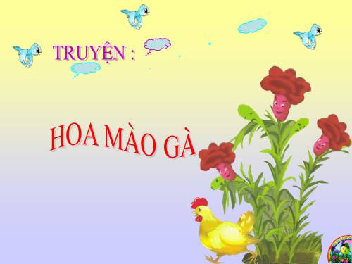 HOA MÀU GÀ