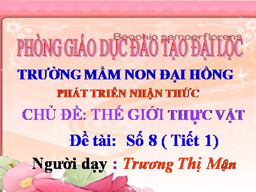 toán số 8