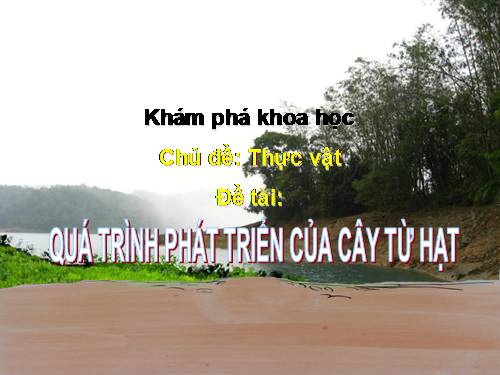 KPKH: Sự phát triển của cây