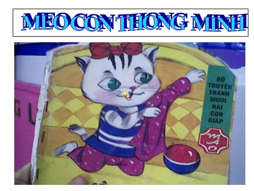 meo con thong minh