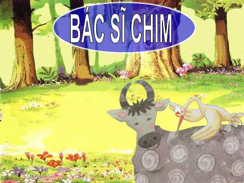 Bác sĩ Chim - chuyện kể