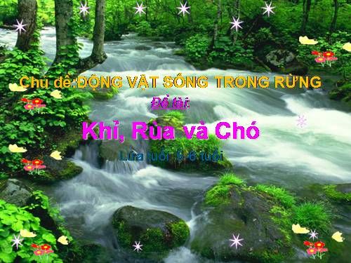 Khỉ, rùa và chó