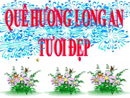 QUÊ HƯƠNG LONG AN