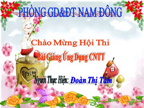 môi trường sống của cây