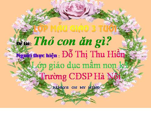 van hoc "thỏ con ăn gì?"