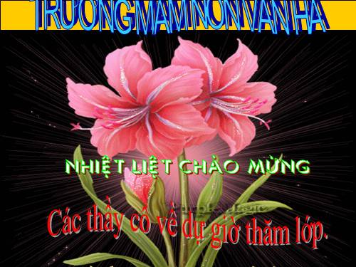 Một số loại rau