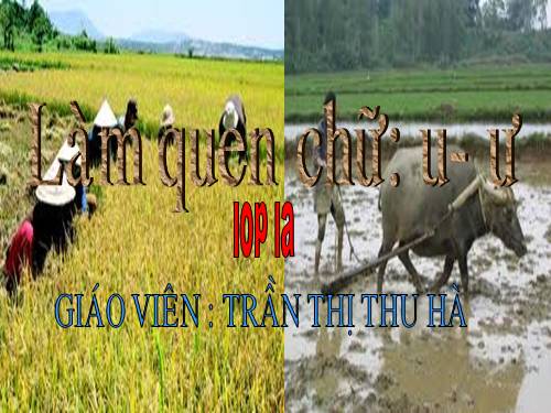 chữ cái u ư