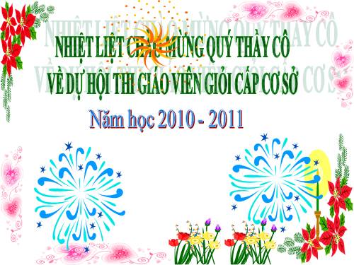 Bài dự thi GVDG năm 2010 -2011