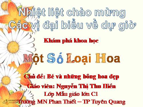 KPKH: Mot so loai hoa