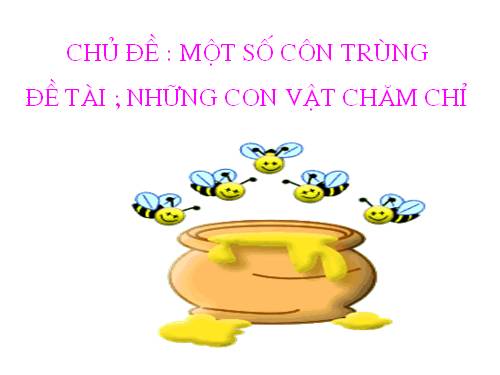 Côn trùng