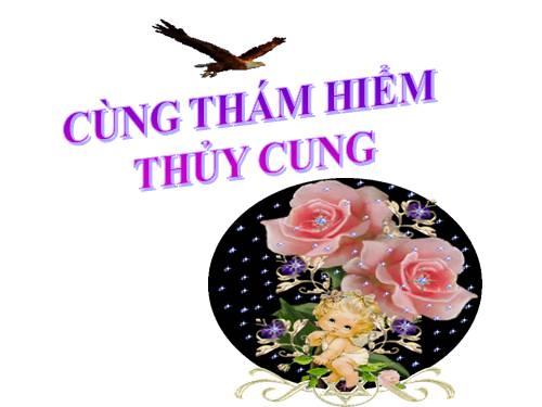 Thám hiểm thủy cung