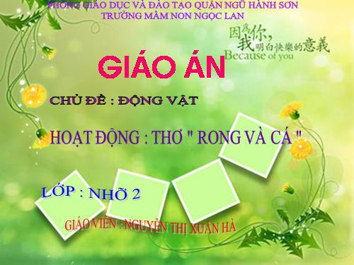 rong va ca