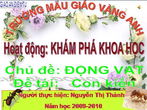 con kiến