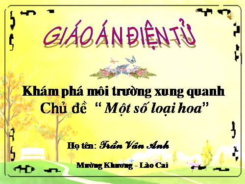 một số loài hoa