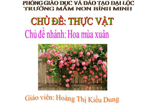 huong duong