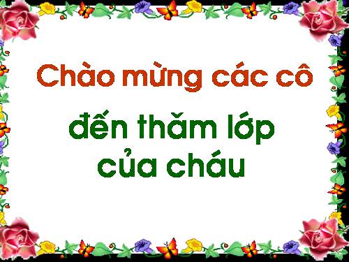 Khám phá quả Cam