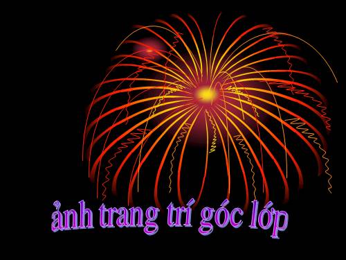 Anh trang tri cac goc