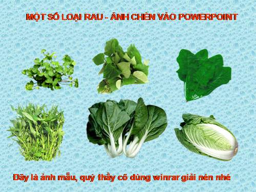 Một số Loại rau xanh