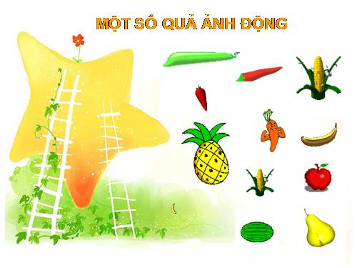 Quả_Ảnh động