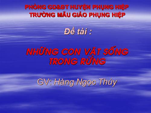 môi trường xung quanh