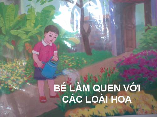 Bé làm quen với các loại hoa