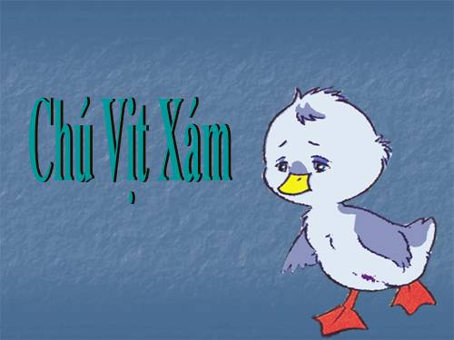 Truyện "Chú vịt xám"