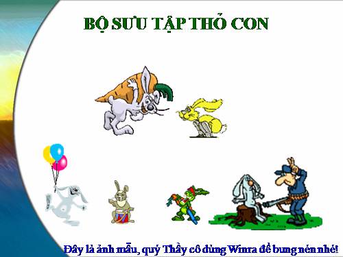 Bộ sưu tập Thỏ