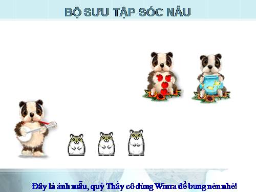 Bộ sưu tập Sóc Nâu