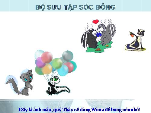 Bộ sưu tập Sóc bông