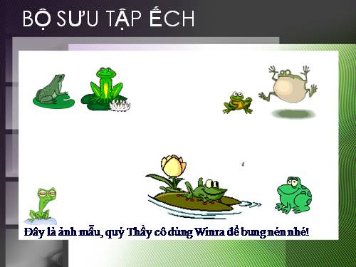 Bộ sưu tập Ếch Đồng